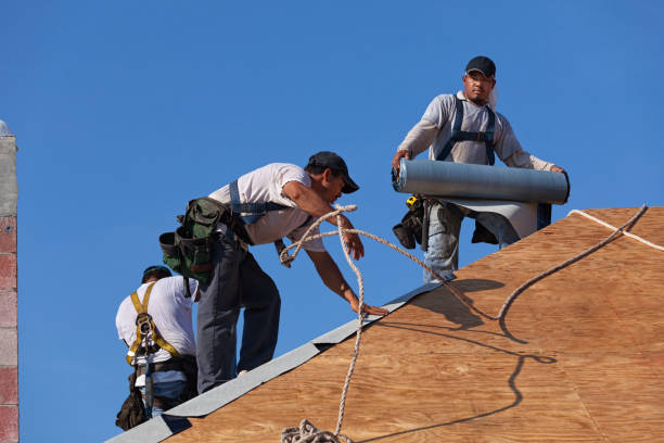 Best Residential Roofing Contractor  in Bad Axe, MI