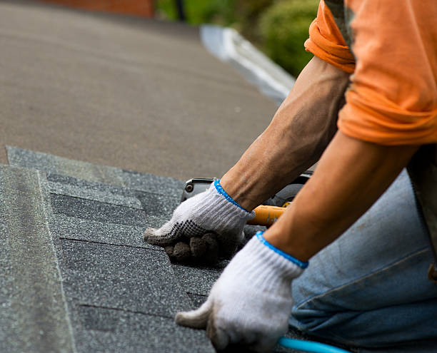 Best Storm Damage Roof Repair  in Bad Axe, MI