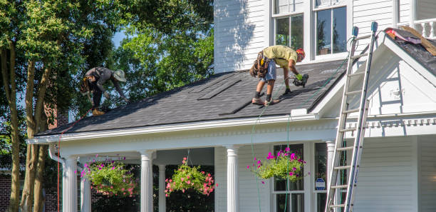 Best Roof Maintenance Services  in Bad Axe, MI